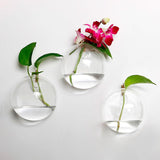 Terrarium suspendu au mur vase à fleurs en verre