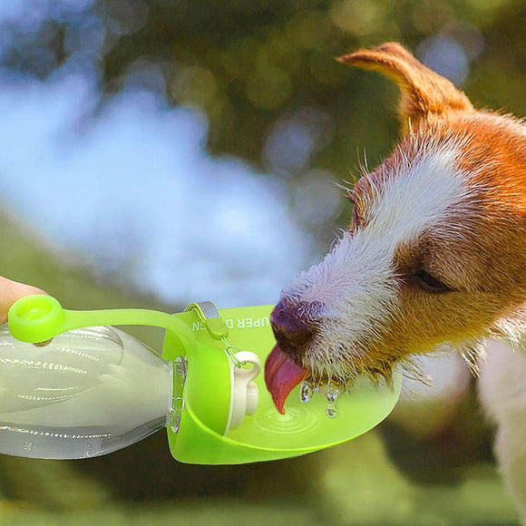 Bouteille d’eau extensible pour chien de sport en plein air