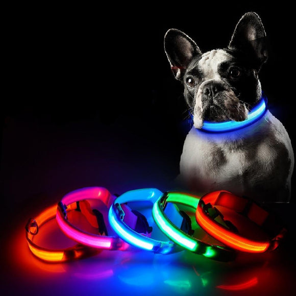 Collier lumineux à LED pour chien