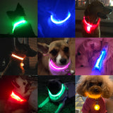 Collier lumineux à LED pour chien